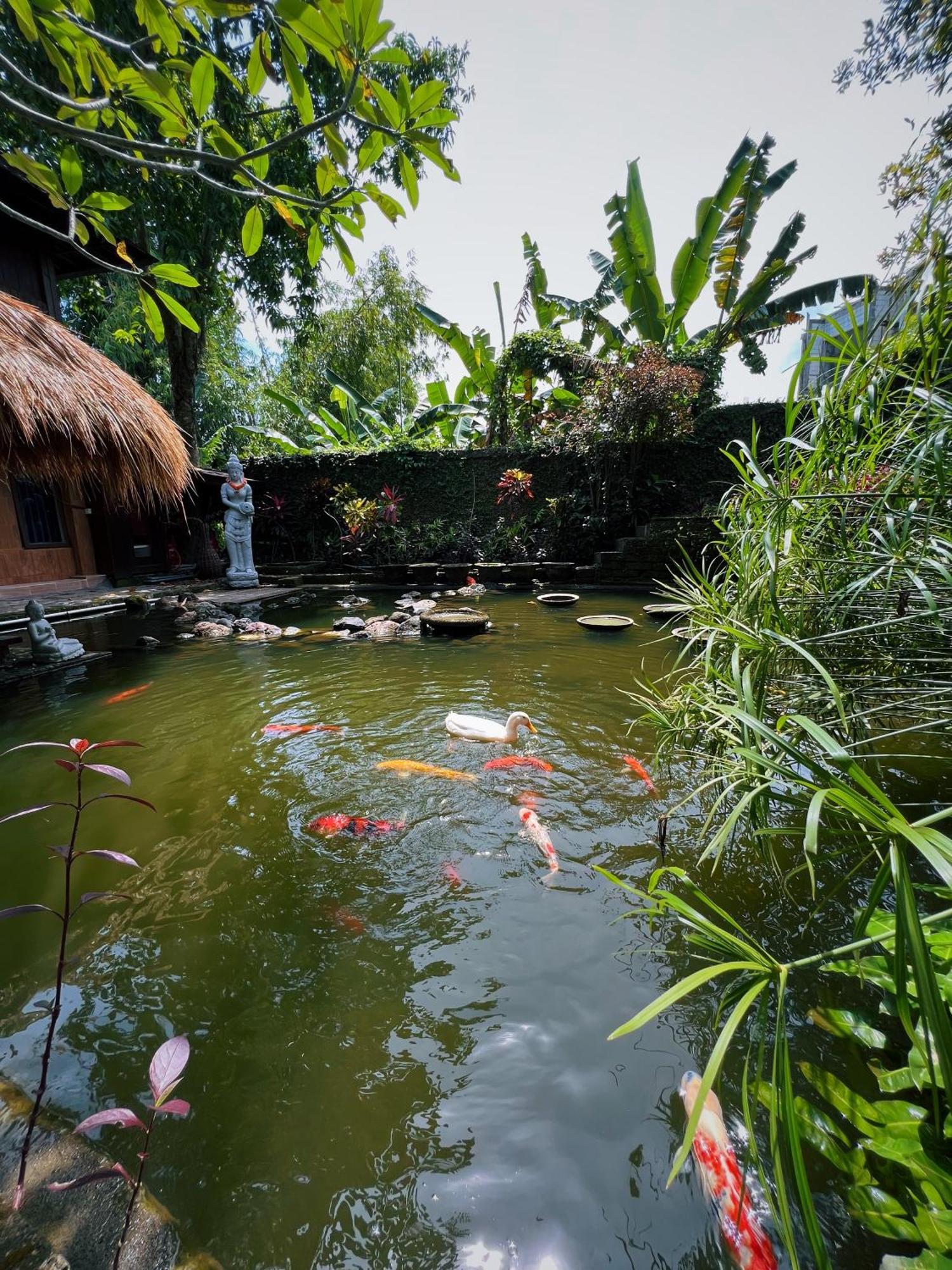 Villa Neshama Canggu  Exterior photo