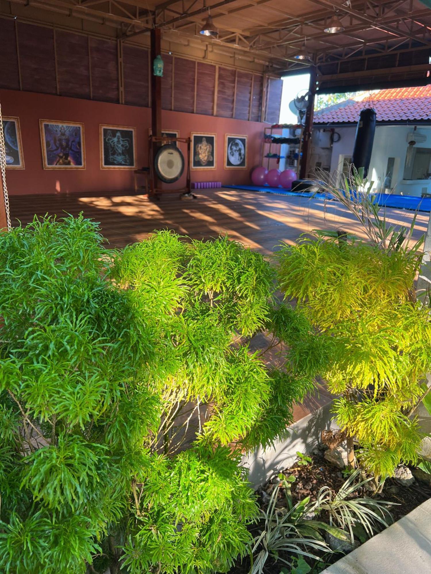 Villa Neshama Canggu  Exterior photo