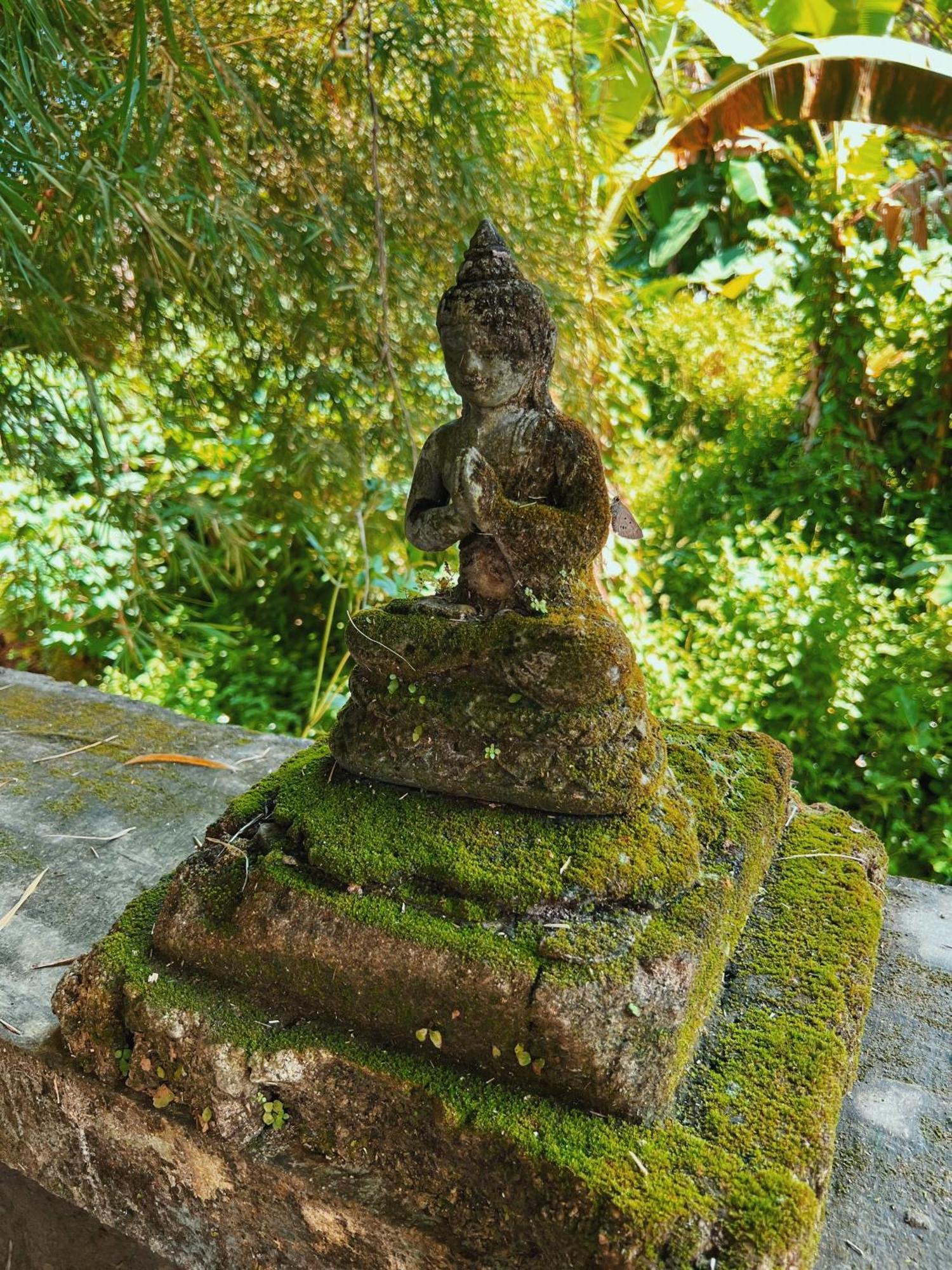 Villa Neshama Canggu  Exterior photo