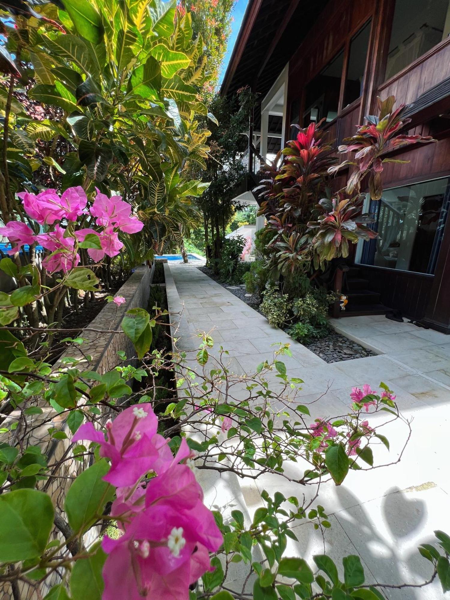 Villa Neshama Canggu  Exterior photo