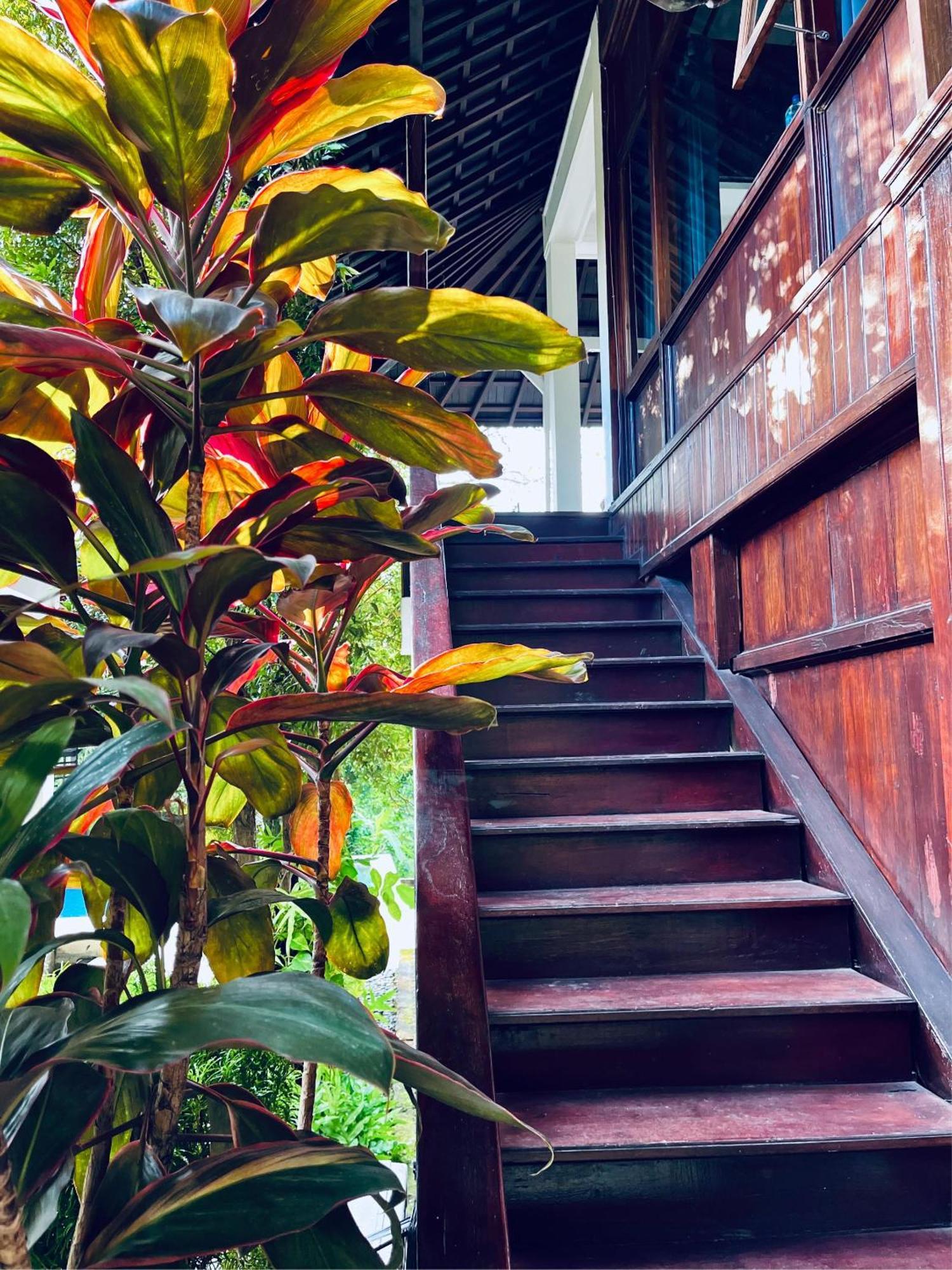 Villa Neshama Canggu  Exterior photo